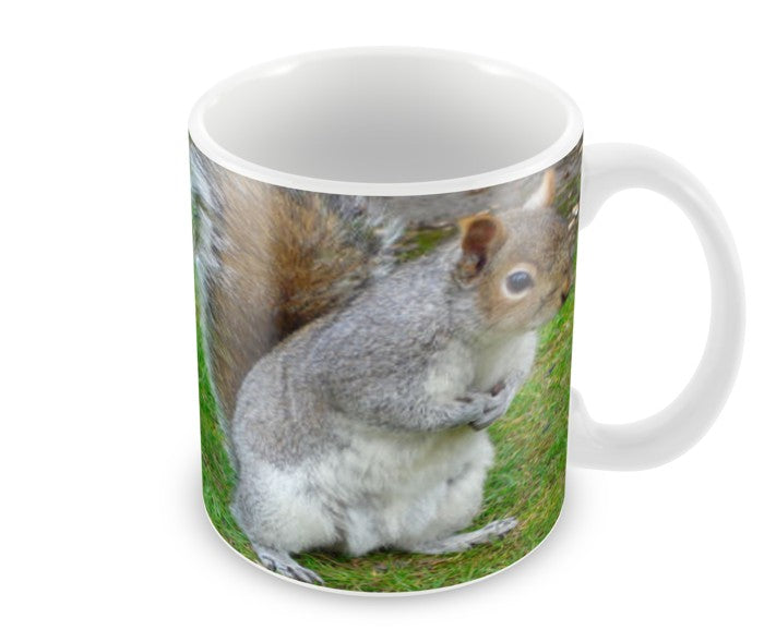 Personalised Grey Squirrel Mug