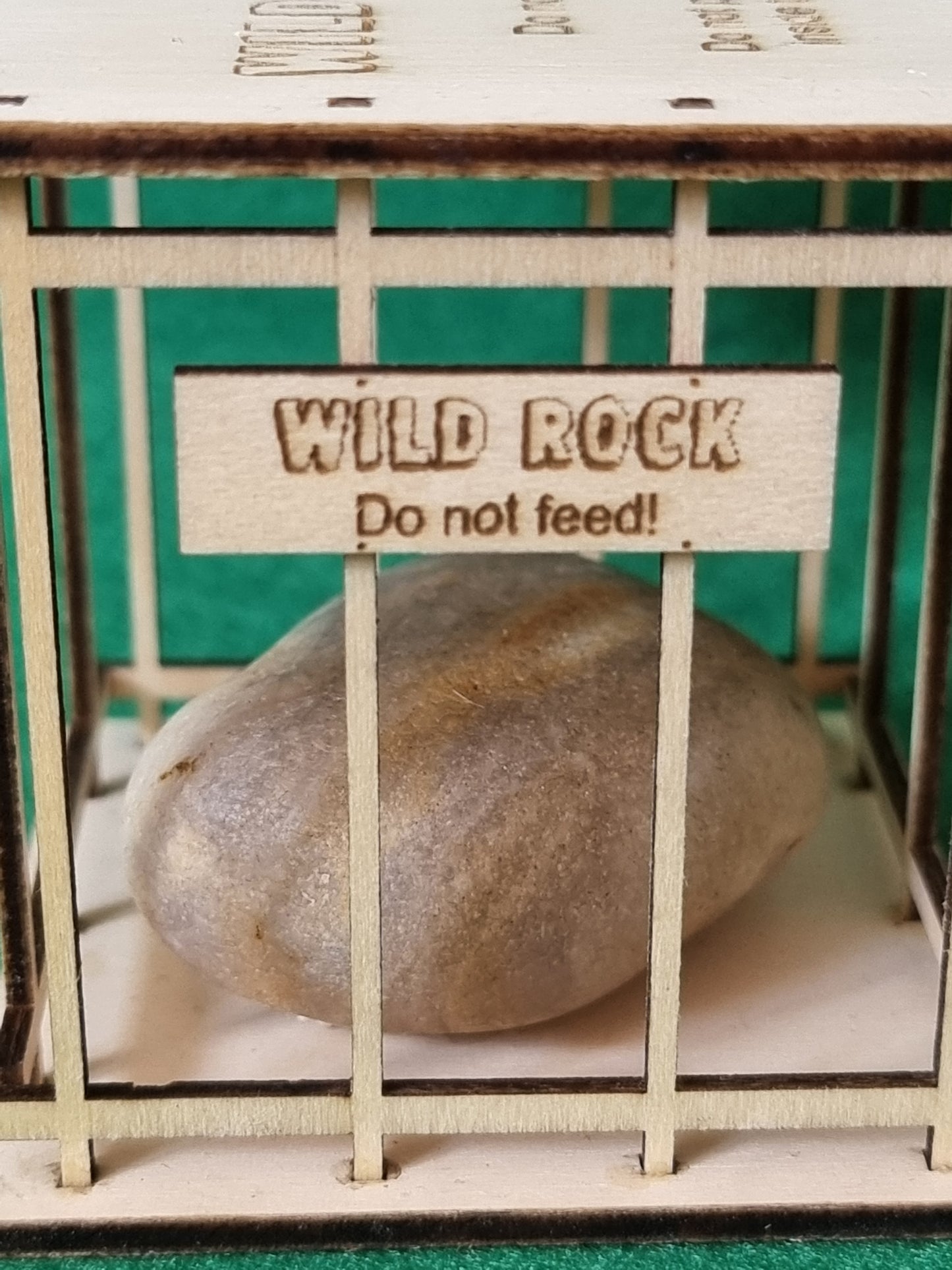 Personalised Wild Rock in a Cage