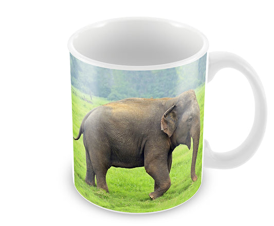 Personalised Indian Elephant Mug