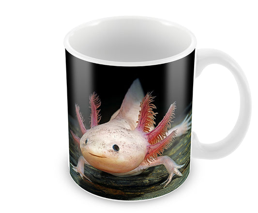 Personalised Axolotl Mug