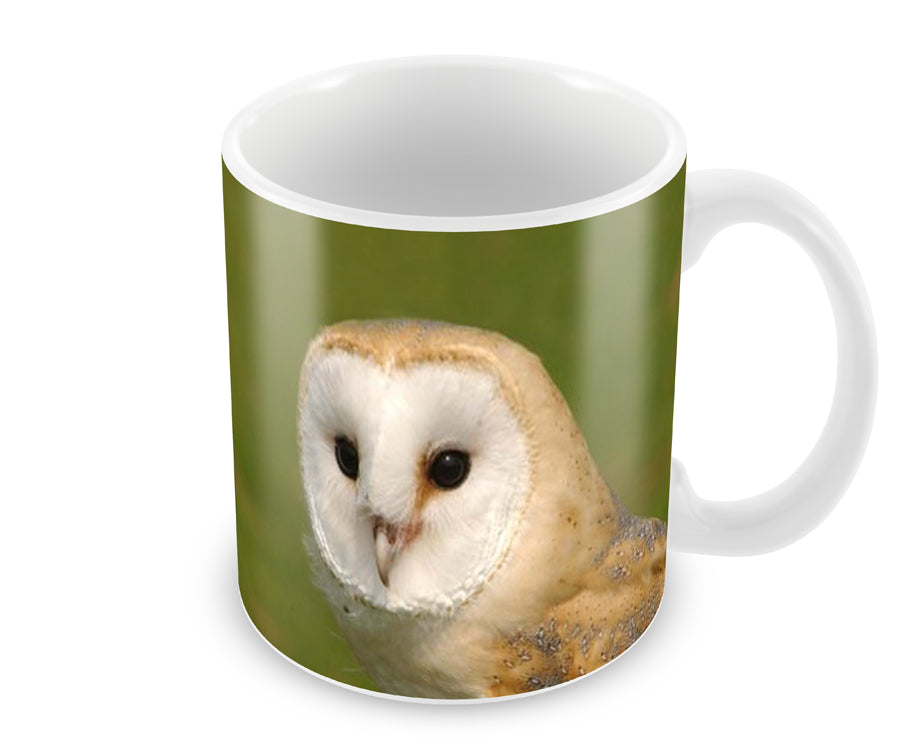 Personalised Barn Owl Ceramic Mug