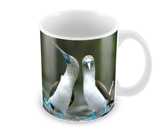 Personalised Blue Footed Booby Mug