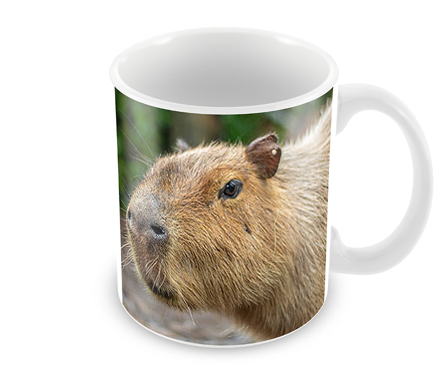 Personalised Capybara Mug