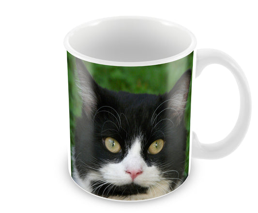 Personalised Black & White Cat Mug