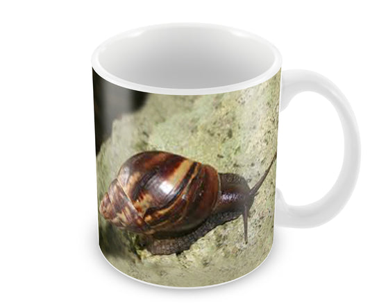 Giant African Land Snail Mug