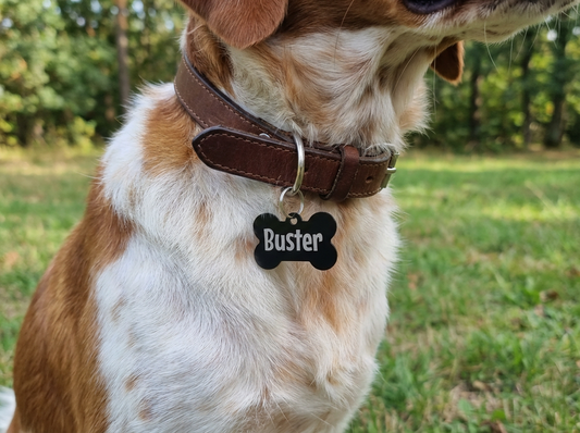 Personalised Pet Tags