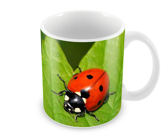 Personalised Ladybird Mug