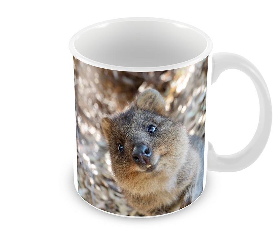 Personalised Quokka Mug