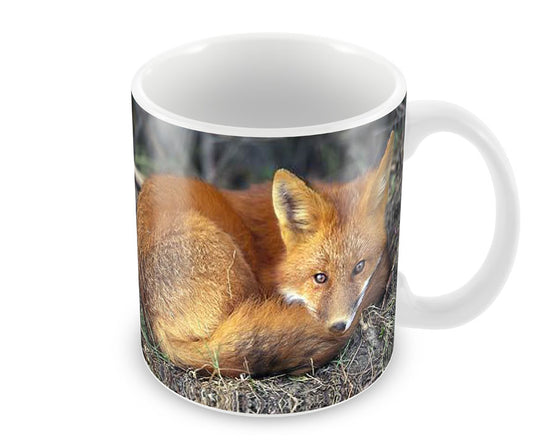 Personalised Red Fox Mug