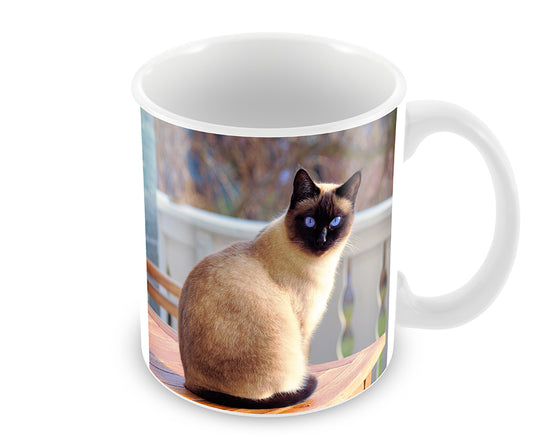 Personalised Siamese Cat Mug